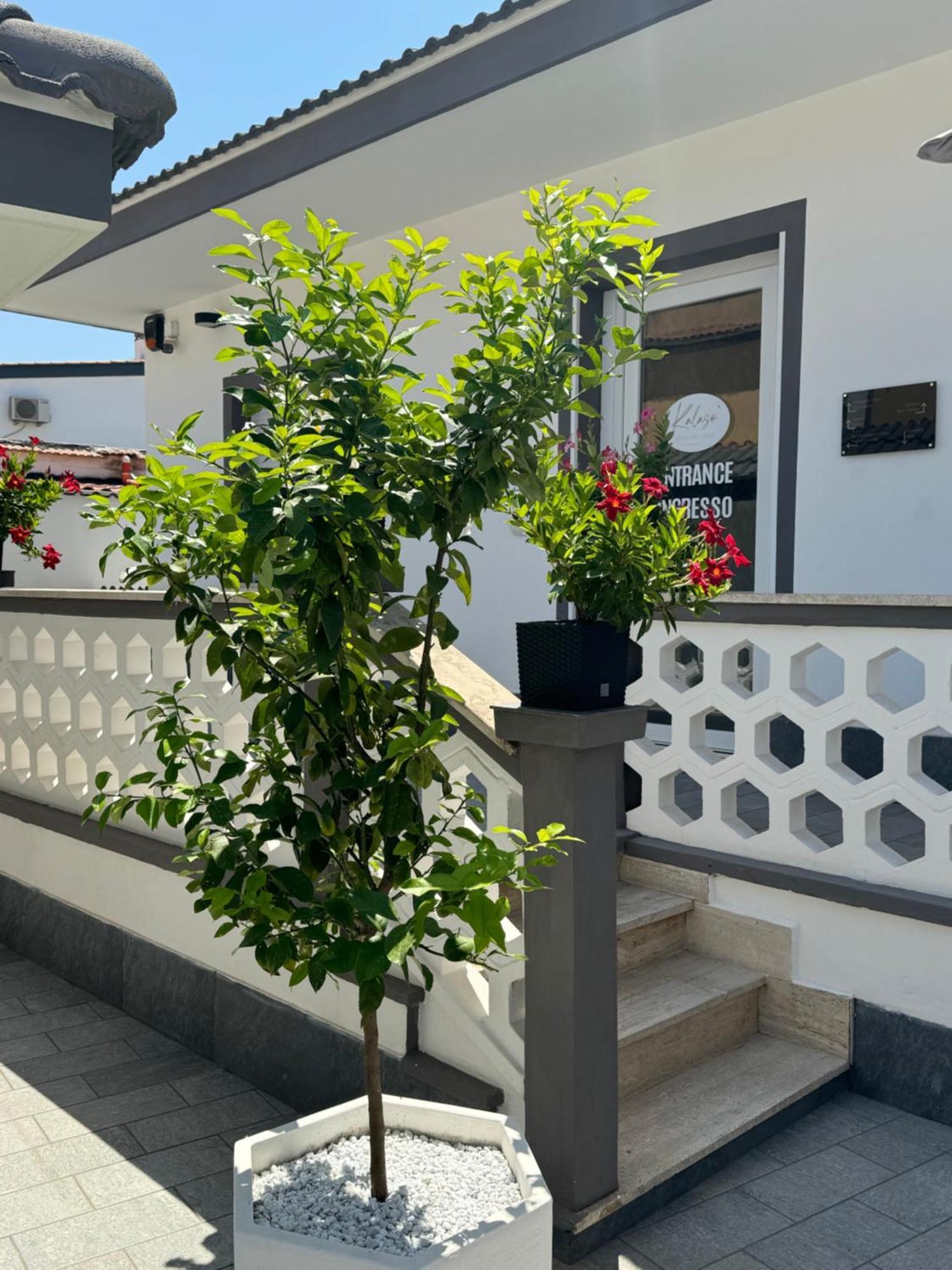 Kalaso Design Guest House - Rome Airport ฟิวมิชีโน ภายนอก รูปภาพ